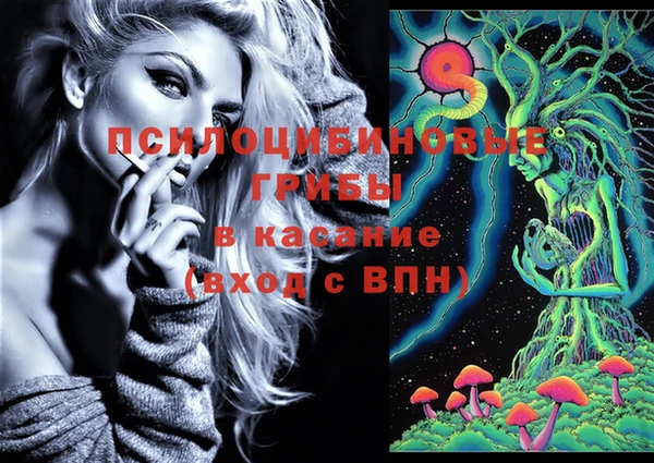 эйфоретик Беломорск