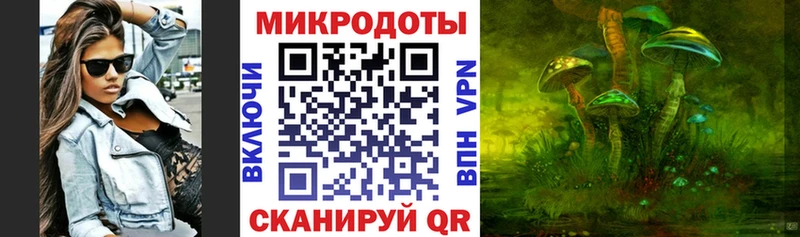 магазин  наркотиков  Красноперекопск  Псилоцибиновые грибы Psilocybe 